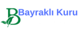 Bayrakli-Kuru-Temizleme